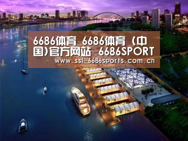 案例展示八